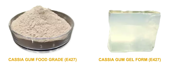 Cassia Gum Powder with Gel - E427